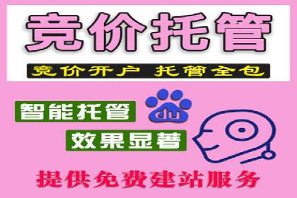 某某sem广告公司成功案例：如何通过SEM优化提高电商销售额